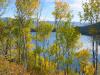 PICTURES/Grand Tetons - Death Canyon Trail/t_Phelps Lake&Trees3.JPG